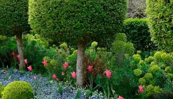 Lawn Maintenance for Vaske Lawn Care in Burlington, KY