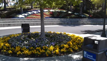 Defensible Space Fire Prevention for Martin Stanko Landscape Construction in Livermore, CA
