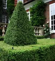 Lawn Maintenance for Gridiron Green Lawn Care in Murfreesboro, TN