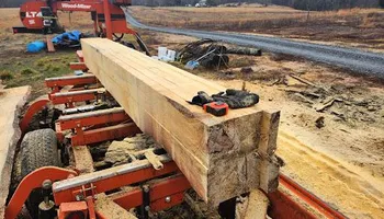 Tree Removal for Smith Tree Experts in Palmyra, VA