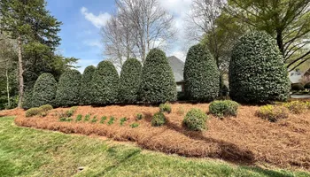 Lawn Mowing for Massey Landscapings in Gastonia, NC