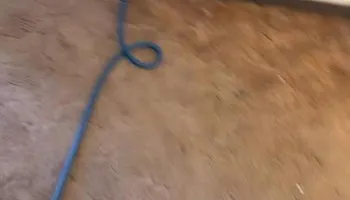 Carpet Cleaning for Blue Line Pressure Washing in Carthage, IL