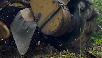 Tree Removal for J&Q Tree Service in Paradise, MI