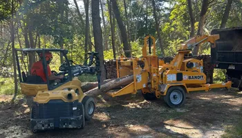Tree Removal for Hingewood Tree Service in Salem, NJ