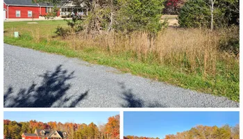 Forestry Mulching for A-Mayse-ing Mulching in Kents Store, Virginia