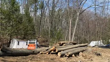 Tree Work for Baboosic Tree & Landscape in Merrimack, NH