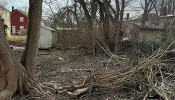 Tree Removal for Melnyk’s Tree Service in Salem County, NJ