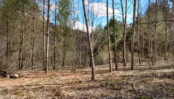 Septic Tank Cleaning for Quality Land Management and septic service in Green Mountain, NC