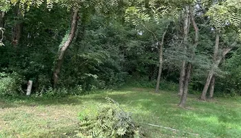 Tree Removal for Cross Family Tree Service in Kearney, MO