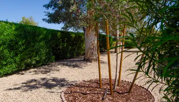 Landscape Installation And Design for Citiscapes, LLC in Phoenix, AZ