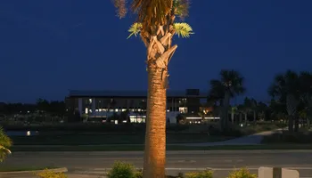 Landscape Lighting for Pro Designs Landscaping in Jacksonville, FL