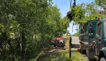 Tree Removal for Near Me Tree Service, Inc. in DeLand, FL