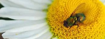 System Overview for Stonecreek Solutions in Sulphur Springs, TX