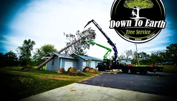 Tree Removal for Down To Earth Tree Service in Red Wing,  Minnesota