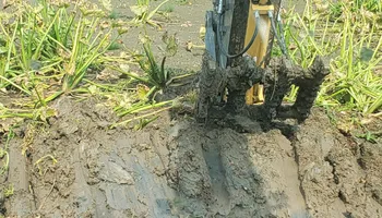 Land Clearing & Demolition for BDS Trucking & Excavating in Litchfield, IL