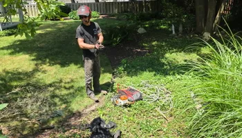 Tree Removal for Down To Earth Tree Service, LLC in Westlake, OH