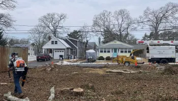 Tree Removal for Robery's Tree Service in West Wareham, MA