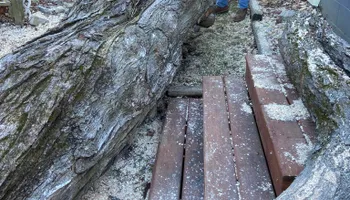 Tree Removal for Merriman's Tree Service in Nineveh,  IN