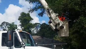 Tree Removal for Daniel Hickey’s Tree Service in DeLand, FL
