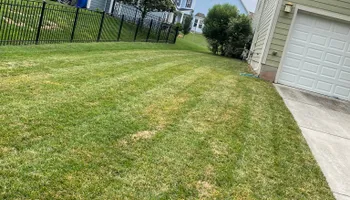 Lawn Clean Up for Healthy Roots Landscaping in Apex, NC