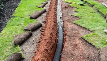 Lawn Clean Up for Healthy Roots Landscaping in Apex, NC