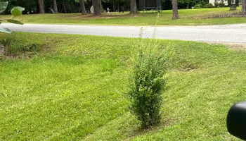 Lawn Maintenance for LawnTherapy in Lawrenceville, VA