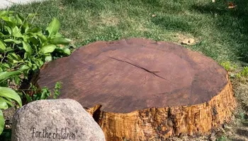 Tree Removal for Dittmer Tree Service in Davenport, IA