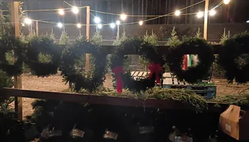 Pinestraw for BAM Another Pinestraw Lot in Flowery Branch, GA