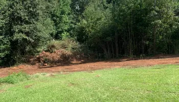 Land Clearing for A.P Land Management in Atlanta, Ga