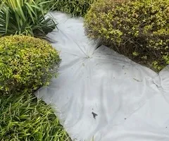 Lawn Maintenance for Dream Cuts Landscaping and Lawn Care LLC in Gastonia, NC