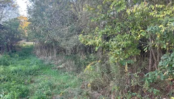 Land Clearing for Mud Creek Vegetation Management in Russellville, AL