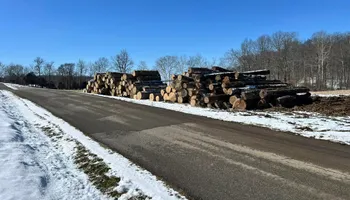 Tree Removal for Kadin’s Tree Service in North Vernon, IN