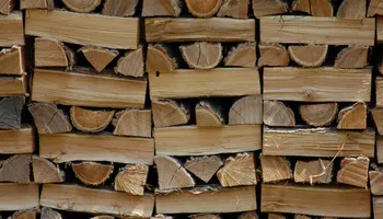 Tree Removal for Global Tree Specialist in Huffman, TX