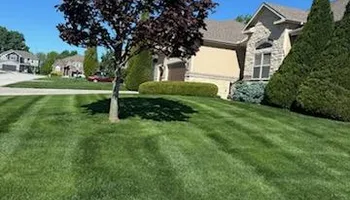 Fertilization Treatments for Chief Lawn Care in Lee's Summit, MO