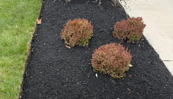 Mowing for Indian River Lawns and Landscapes in Frankford, DE