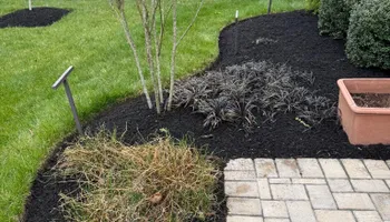 Mowing for Indian River Lawns and Landscapes in Frankford, DE