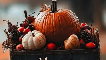 Fence Installation & Repairs for Risner Construction in De Motte, IN