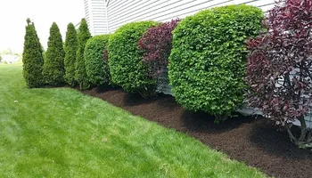Lawn Clean Up for Healthy Roots Landscaping in Apex, NC