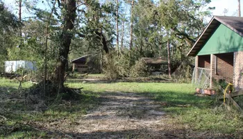 Tree Trimming for American Tree Masters in Alvin, TX