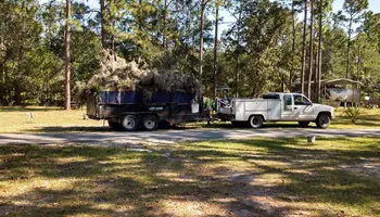 Tree Removal for Asbell's Tree & Land Services in Gilchrist County, FL