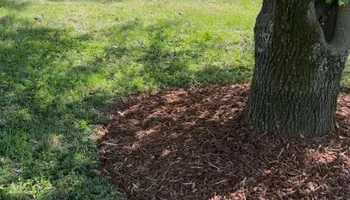 Land Clearing for Oaks Excavating in Lyles, TN