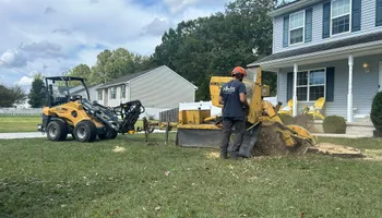 Tree Removal for Hingewood Tree Service in Salem, NJ