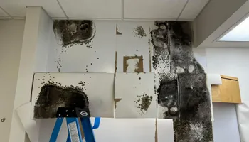 Water Mitigation for N&D Restoration Services When Disaster Attacks, We Come In in Cape Coral,  FL