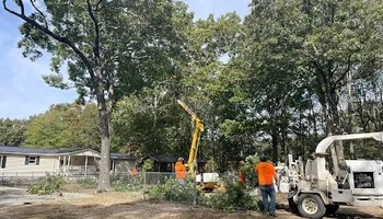 Tree Removal for Ross Family Tree Service LLC  in Hohenwald, TN