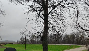 Tree Removal for Big River lawn Care services and snow LLC in Wausau, WI