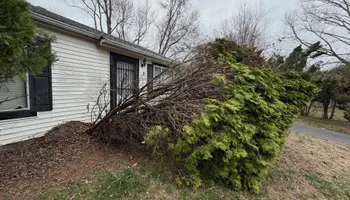 Land Clearing for G1 Excavation LLC in Titusville, NJ