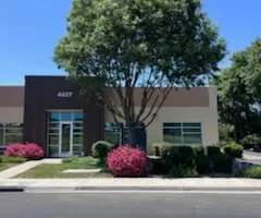 Tree Removal for Sammy's Tree Services in Sacramento, CA