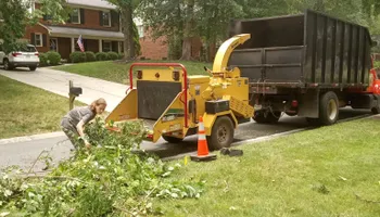 Tree Removal for Oakhurst Landscaping and Tree Service in Charlotte, NC