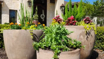 Mowing for Bruno's Professional Lawn's & Landscape in Beaumont, TX