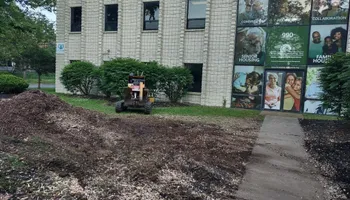 Residential Tree Services for TH Property Service, LLC in Manlius, NY